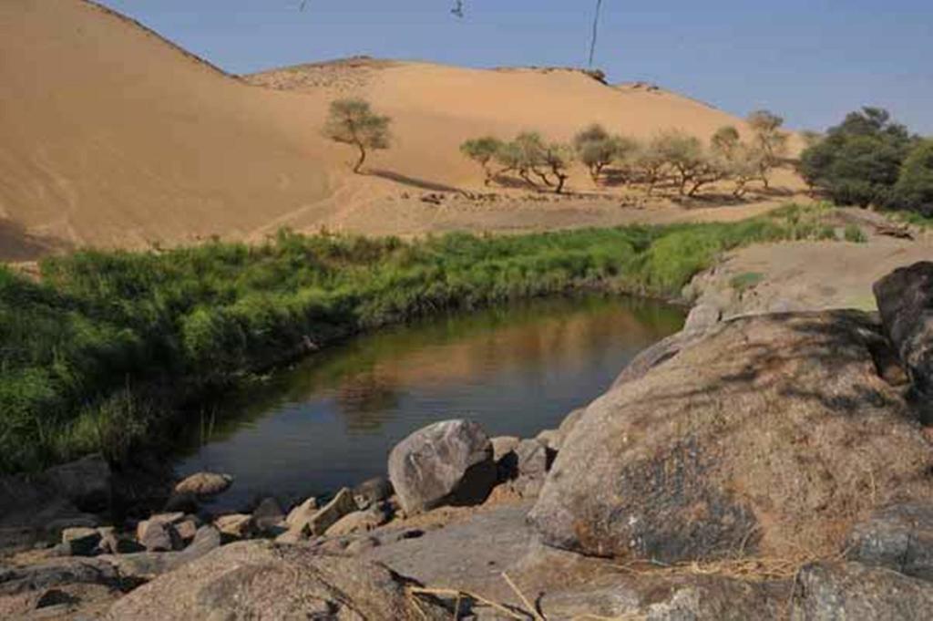 اناكاتو اوتيل أسوان